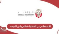 رابط الاستعلام عن القضايا محاكم رأس الخيمة www.rak.ae