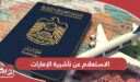 الاستعلام عن تأشيرة الإمارات عبر منصة echannel