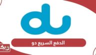 رابط خدمة الدفع السريع من دو الإمارات myaccount.du.ae