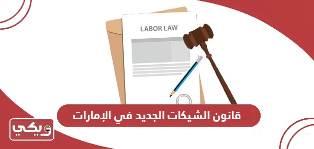 قانون الشيكات الجديد في الإمارات 2024
