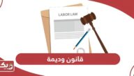 قانون وديمة لحماية الأطفال في الإمارات