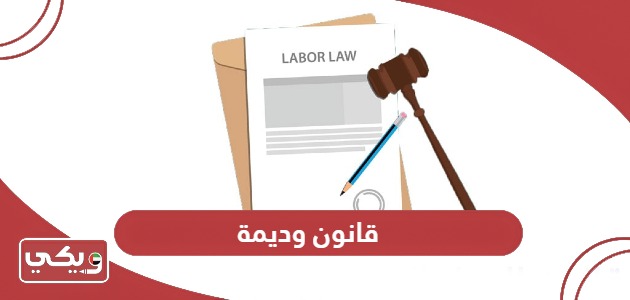قانون وديمة لحماية الأطفال في الإمارات