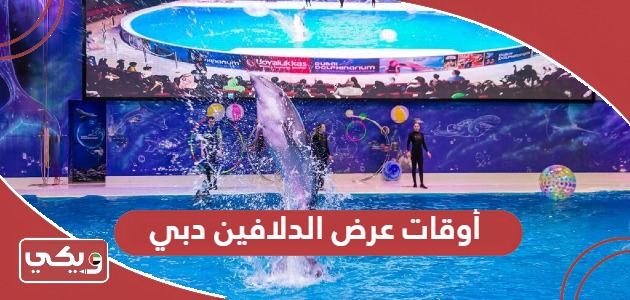 أوقات عرض الدلافين دبي 2024