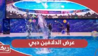 عرض الدلافين دبي؛ المواعيد والعناوين 2024