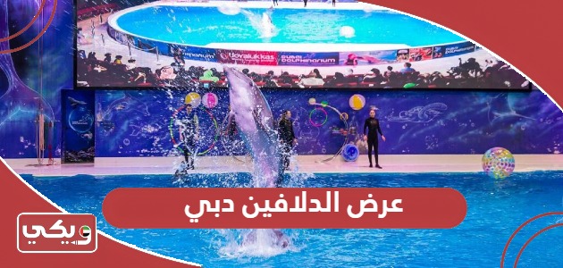 عرض الدلافين دبي؛ المواعيد والعناوين 2024