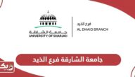نبذة عن جامعة الشارقة فرع الذيد؛ التخصصات والشروط وطرق التواصل