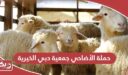 حملة الأضاحي جمعية دبي الخيرية 2024