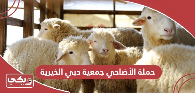 حملة الأضاحي جمعية دبي الخيرية 2024