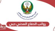 كم رواتب الدفاع المدني دبي 2024